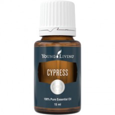 Масло эфирное Cypress Essential Oil / Кипарис